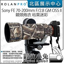 數位小兔【Sony FE 70-200mm f/2.8 GM OSS II 望遠變焦鏡頭 SEL70200GM2】公司貨 歷史價格詳細信息