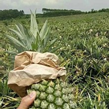 【便宜好物團購去】素色棒球帽8色可挑選-運動 搭配 防曬 歷史價格詳細信息