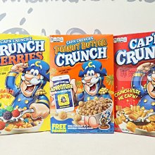 【Sunny Buy】◎現貨+預購◎ Kellogg's 家樂氏 Rice Krispies 家庭號米脆片 原味 巧克力 歷史價格詳細信息