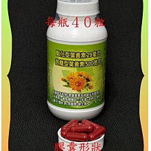 素食葡萄糖胺（玉米發酵來源） 歷史價格詳細信息