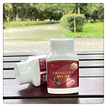 Queens Choice 高單位緩釋型維生素B群雙層錠 30錠/瓶～分享組 MOMO官網購入 原廠公司貨 最新效期 下單送漂亮口罩 歷史價格詳細信息