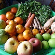 1瓶=低卡-香草口味-營養奶昔-台灣製造-BILLPAIS=比-賀寶芙-好喝-保存日期至2026.09.27送湯匙 歷史價格詳細信息