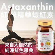 【超值優惠組】華森葳搶答鈴(四款) +反應桌遊-嗒寶(繁中) 歷史價格詳細信息