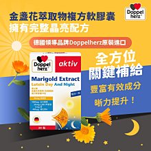 合生2024新款連體超仙泳衣女專業運動夏保守遮肚顯瘦大碼泡女士遊 歷史價格詳細信息