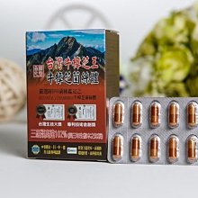 榮芝全自動電動足浴盆過小腿家用恆溫加熱洗腳電動按摩泡腳桶 歷史價格詳細信息