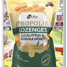 小麥代購 全新S/M/L號 hollister 海鷗hco藍灰圓領基本款T恤 歷史價格詳細信息