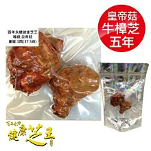 百年永續健康芝王 (三年半) 特頂牛樟芝 生鮮品 37.5g x1兩 歷史價格詳細信息