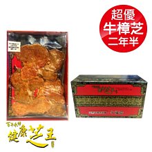 百年永續健康芝王 (四年半) 特頂大球菇牛樟芝/菇 生鮮品 37.5g/1兩 歷史價格詳細信息