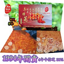 祐全生技100% 5年牛樟芝椴木培養牛樟芝子實體 太極純牛樟芝滴丸 ❤️特挑珍貴五年牛樟芝❤️ 歷史價格詳細信息