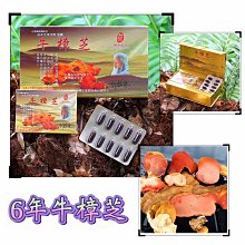 祐全生技100% 5年牛樟芝椴木培養牛樟芝子實體 太極純牛樟芝滴丸 ❤️特挑珍貴五年牛樟芝❤️ 歷史價格詳細信息