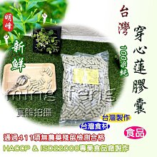 【喬瑟芬的秘密】明峰中藥房 紅田烏膠囊 紅田塢 蓮子草 田邊草-裸粒100顆裝 歷史價格詳細信息