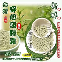 【喬瑟芬的秘密】日本《富力森FURIMORI》高速溫控負離子吹風機FU-H880原廠保固 直送免運 歷史價格詳細信息