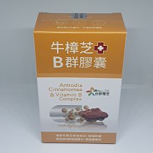 【促銷】芝英全棉復古花邊低枕頭單人成人護頸椎矮枕芯高度5cm保護頸椎 歷史價格詳細信息