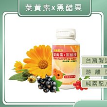 【快速出貨】促銷翻頁筆ppt遙控筆通t用教師電子白板教學辦公投影儀充電演講可 歷史價格詳細信息