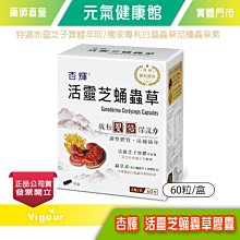 【靈芝草人】真心靈芝紅棗麵線禮盒 300gx2包/盒(生日 禮盒 祝壽禮品) 歷史價格詳細信息