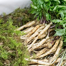 食材養生速查手冊 東瀟博 編 2014-9-1 化學工業 歷史價格詳細信息