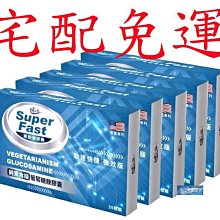 下殺 宅貓醬 卡通貓頭型貓咪陶瓷食盆雙碗貓飯盆單碗水碗寵物貓用品 歷史價格詳細信息