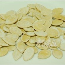 【嘉騰小舖】馬玉山-麵茶粉(素食) 600公克 [#1]{H005} 歷史價格詳細信息