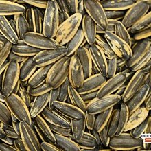 【嘉騰小舖】馬玉山-麵茶粉(素食) 600公克 [#1]{H005} 歷史價格詳細信息