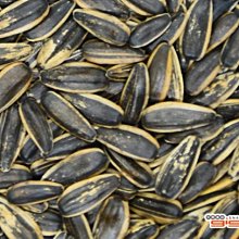 《盛香珍》豐葵香瓜子(桂圓紅棗風味)150gx10包入(箱) 歷史價格詳細信息