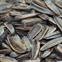 【嘉騰小舖】馬玉山-麵茶粉(素食) 600公克 [#1]{H005} 歷史價格詳細信息