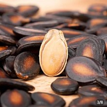 炒貨制作技術視頻教程U盤炒板栗炒瓜子花生炒核桃炒貨教學防水U盤 歷史價格詳細信息