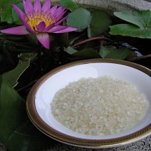 蓬萊陵園祥雲觀塔位 - 懷義樓(6F) 牌價六折(未選位未繳管理費) 歷史價格詳細信息