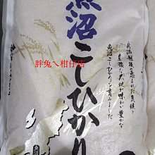新沼謙治 1998 全曲集 / 流浪人 【日版全新未拆】見本品 歷史價格詳細信息