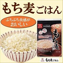 日本Hakubaku 黃金麥飯 現貨  蝦皮直送 歷史價格詳細信息