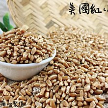 需料件維修請詢價 Samsung I8160（Galaxy Ace 2）  開機鍵 排線 燈光排線 聽筒排線 光感線 感應線 側鍵 排線 主排線 照相鍵排線 歷史價格詳細信息