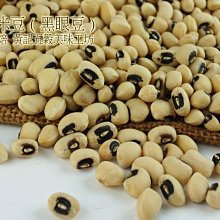 需料件維修請詢價 Samsung I8160（Galaxy Ace 2）  開機鍵 排線 燈光排線 聽筒排線 光感線 感應線 側鍵 排線 主排線 照相鍵排線 歷史價格詳細信息