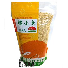 ※樂活良品※ 生活者自然養生坊天然纖維粉(洋車前子殼)120g/量販特價優惠中 歷史價格詳細信息