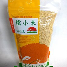 自制養生蔬果汁全書學做蔬果汁不生病 張明 2014-11 天津科學技術 歷史價格詳細信息