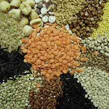 【本草甘露】嚴選*天然成小麥胚芽-E 400IU,天然維他命E;天然E級棒* 120顆-美國 歷史價格詳細信息