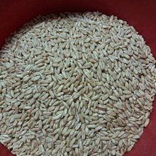 穀粒珍海苔夾心-蕎麥紫米 40g 全素 滿額免運費 人氣零嘴 熱門團購 歷史價格詳細信息