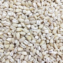 廚房百味:建國獅子香油 3公升 業務用 香油 芝麻香油 芝麻 歷史價格詳細信息