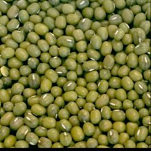 廚房百味:建國獅子香油 3公升 業務用 香油 芝麻香油 芝麻 歷史價格詳細信息