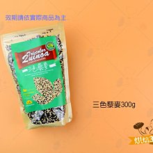 烘焙365＊28.5x32.5花色土司袋10入/包0000211030032(下標前先詢問庫存花色或隨機出貨) 歷史價格詳細信息