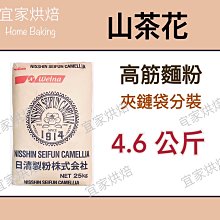 日清製粉 日清極致濃郁鬆餅粉 (480g) 歷史價格詳細信息