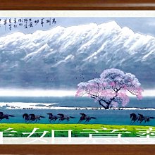 [正彩 Lencola] 蘆薈去角質啫喱(凝膠) 60g (全新) 歷史價格詳細信息