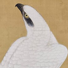 鳳崗文創---{白玉152}---和闐籽料黃玉老件—配老蜜蠟琥珀---黃玉珠尺寸約:1*1*1.4cm 歷史價格詳細信息