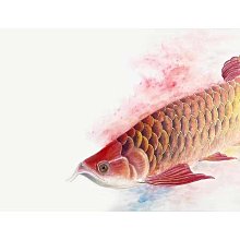 騰達飛TENGDAFEI1/4轉接雲臺Insta360鋁合金底座適 GoPro13運動相機兩卡轉接頭金屬大疆運動相機底 歷史價格詳細信息