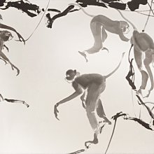 瑞玉病患檢查用手套(滅菌/單支包裝/抽痰用手套) 100支/盒【醫康生活家】 歷史價格詳細信息