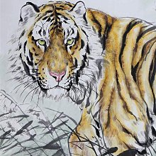 明清紫禁城風雲錄（全二冊） 歷史價格詳細信息