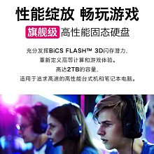 聯想1T 拯救者固態硬盤m.2 NVMEPCIER9000PY7000 R7000協議筆電 歷史價格詳細信息