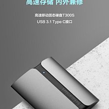 海康威視1t移動硬盤 固態2t高速便捷 USB Type-C Mac外置SSDT300S 歷史價格詳細信息