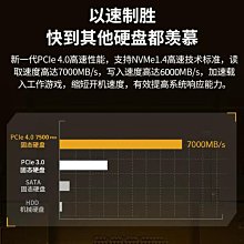 儲技 戴爾DELL筆電專用固態硬盤256G/512G/1T擴容SSD 送系統U盤 歷史價格詳細信息