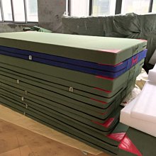 新品藝術體操球體操五項比賽專用道具成人兒童舞蹈韻律瑜伽健 歷史價格詳細信息