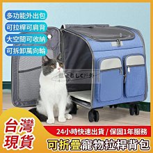 “背後貓砂一大包” 短袖 Tee 歷史價格詳細信息