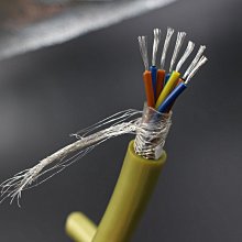 {特價} 全新原裝 荷蘭 純銀 12蕊 5N (99.999%) OCC單晶銅 發燒信號線 [ 0.65米 二條 ] 歷史價格詳細信息